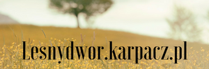 http://www.lesnydwor.karpacz.pl